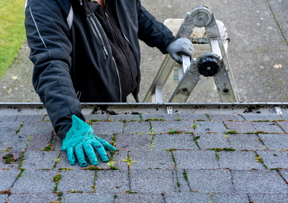 Homme sur l'échelle nettoyant la mousse et la saleté d'un toit de bâtiment - sa main dans des gants désordonnés - vue du toit