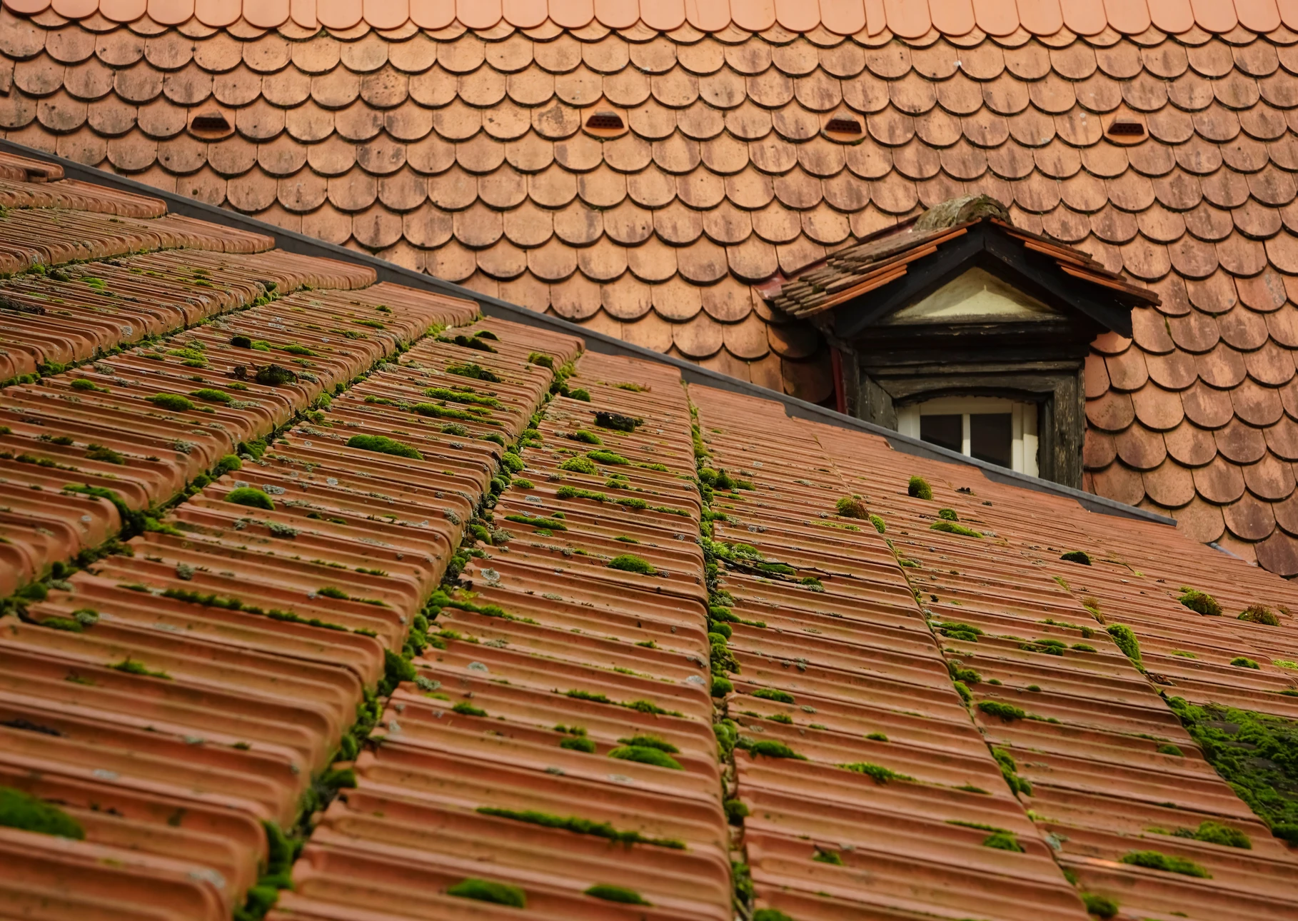 Vue aérienne rapprochée d'une toiture de maison individuelle, capturée par un drone, montrant le détail des matériaux, zones de mousse ou d'usure visible, avec une netteté d'inspection professionnelle permettant d'évaluer l'état précis de la couverture. La perspective doit être celle d'un diagnostic drone : close enough pour distinguer les défauts et l'état des tuiles ou couverture, sans paysage périphérique distrayant.